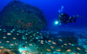 immersioni a lampedusa